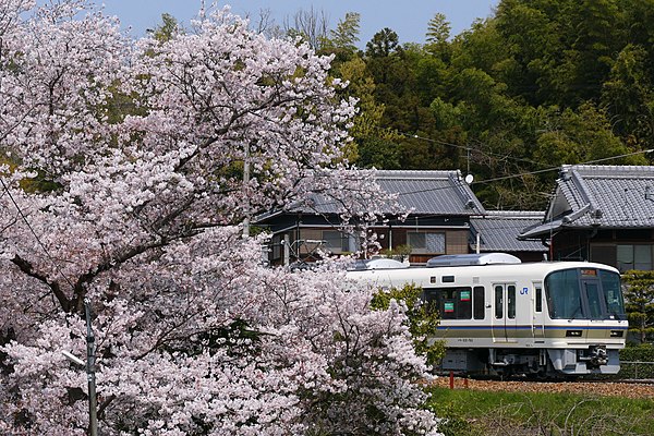 A 221 series EMU on a Miyakoji Rapid service in April 2020