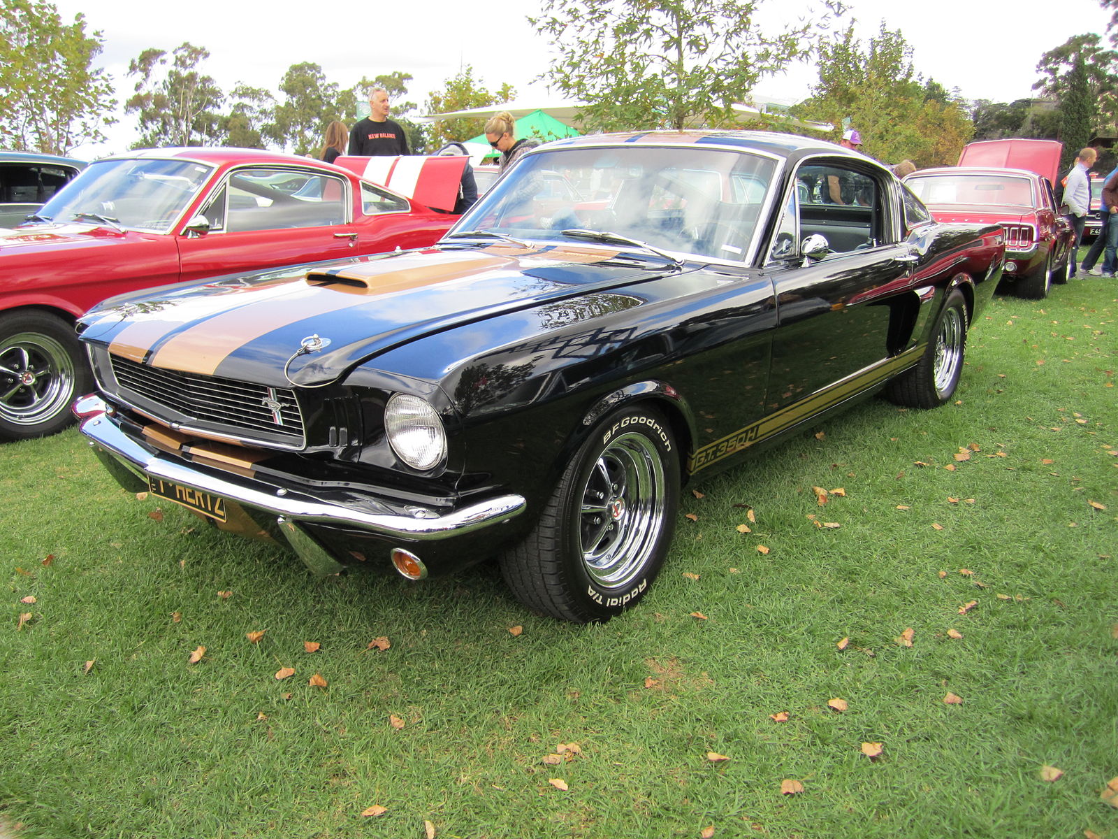 Ford Mustang gt 350 h