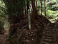 Thumbnail for Shibushi Castle