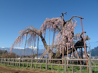 小淵沢町