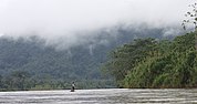 Reserva De La Biosfera De Río Plátano