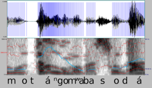 Spektrogram - motángo mwa basodá.png