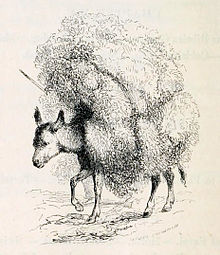 engraving of a small donkey with a massive load