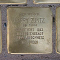 image=File:Stolperst_kurt_schumacher_strasse_35_zuntz_harry_400x400.jpg