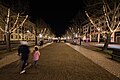 Straße unter den Linden Berlin at night with Christmas illumination 2023-12-17 06