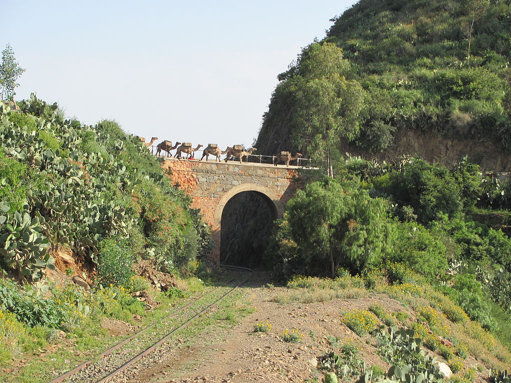 Strecke Brücke Kamele.JPG