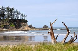 Sunset Bay State Park di Oregon.jpg