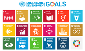 United Nations Sustainable Development Goals (SDGs). Sustainable Development Goals.png