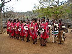 Februar 2008:Tanzgruppe der Swasi, Swasiland
