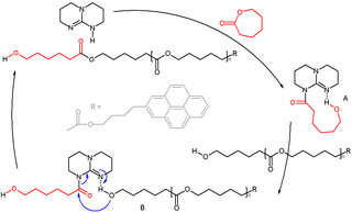 Triazabicyclodecene Chemical compound