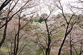 多摩森林科学園