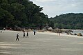 Teluk Cempedak tititan