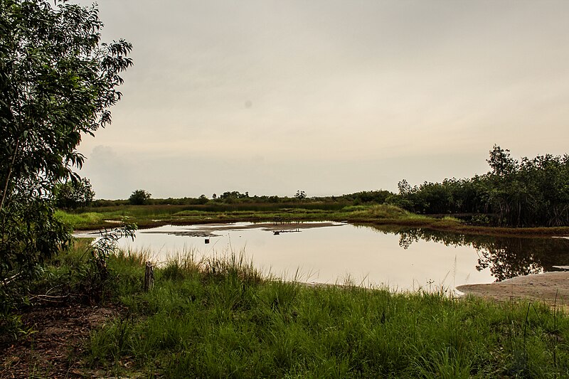 File:Terre salée inondée.jpg