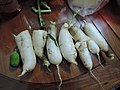 White radishes from Hong Kong's farm