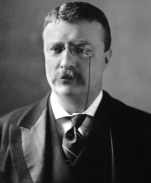 Theodore Roosevelt, president van 1901 tot 1909