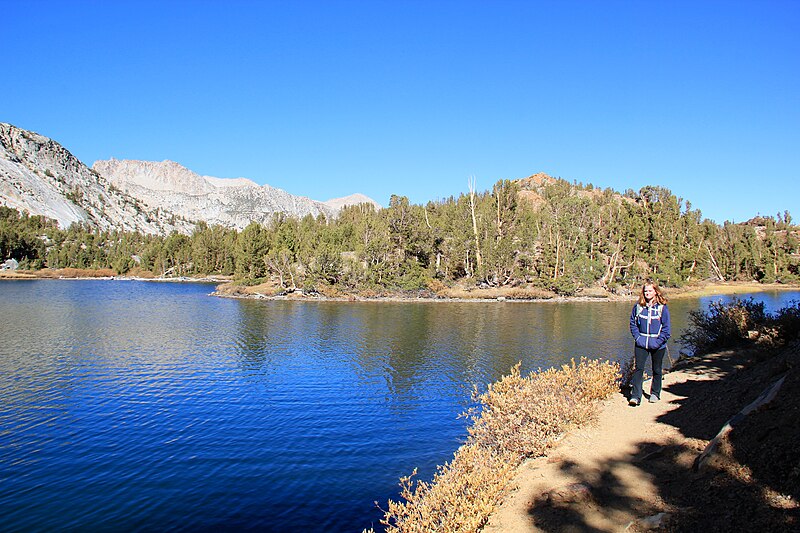 File:Trail through side of Long Lake - Flickr - daveynin.jpg