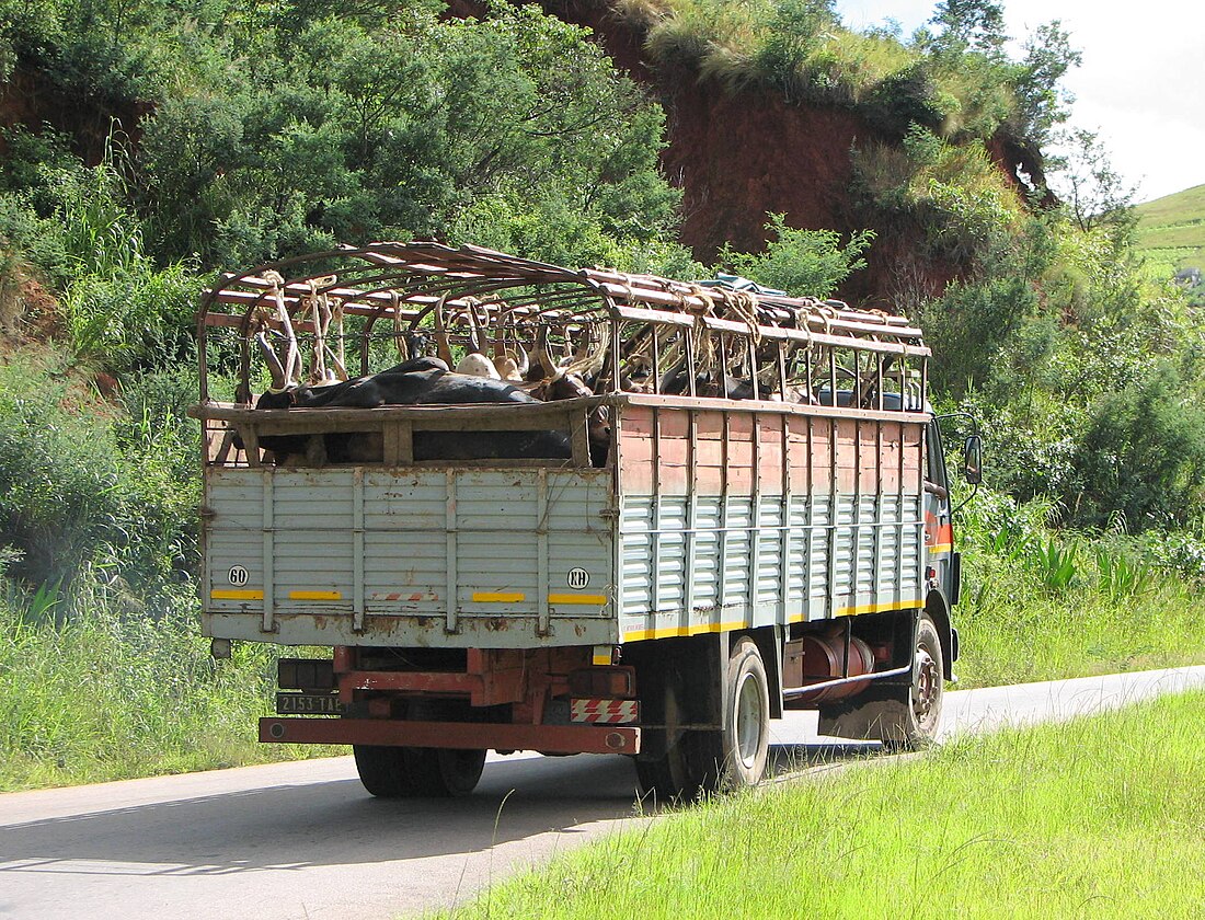 Animal transporter