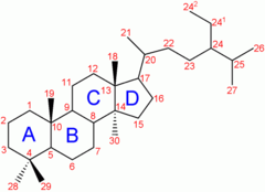Trimethyl steroid-nomenclature.png