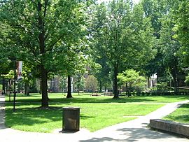 University of Louisville - Wikipedia