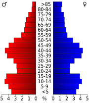 Population pyramid based on 2000 census age data