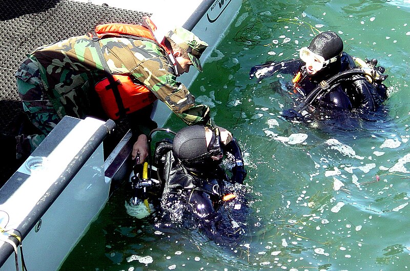 File:US Navy 030403-N-7196T-005 Boatswain's Mate 2nd Class Clinton Swain assists Electronics Technician 2nd Class Andrew Wallin.jpg