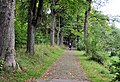 Verschönerung (Elbingerode) DSC 6207.jpg