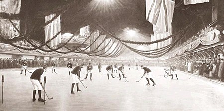 Victoria rink 1893