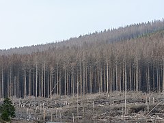 View from Brockenstraße 37.jpg 78886035 6 565 20190601074155