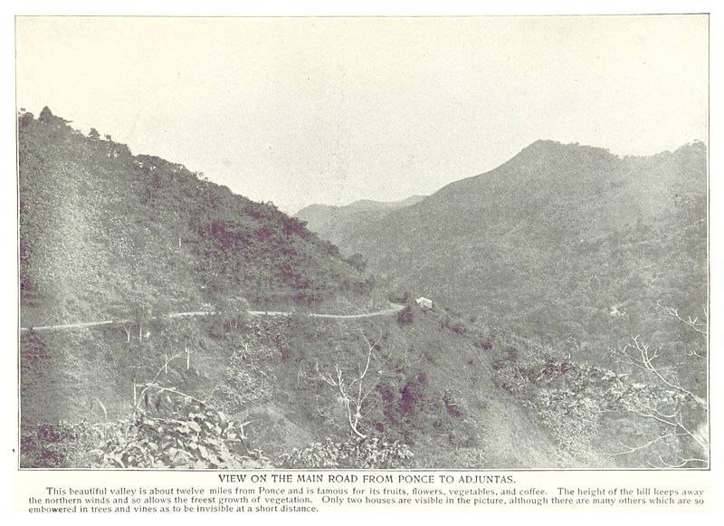 File:View on the main road from Ponce to Adjuntas.jpg