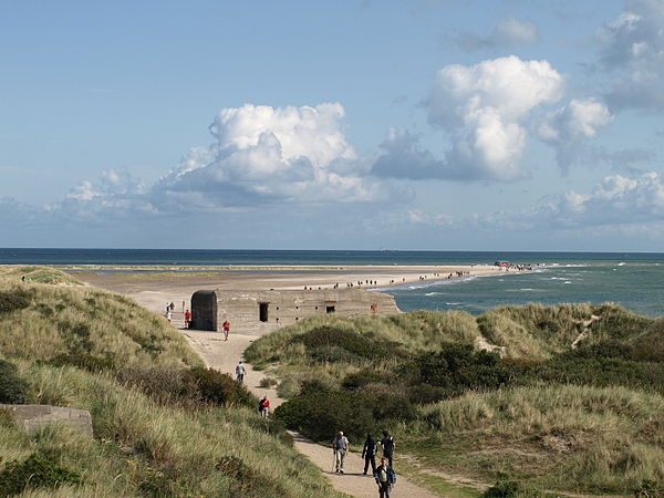 Grenen in Denmark is important for bird migrations and is a protected area.