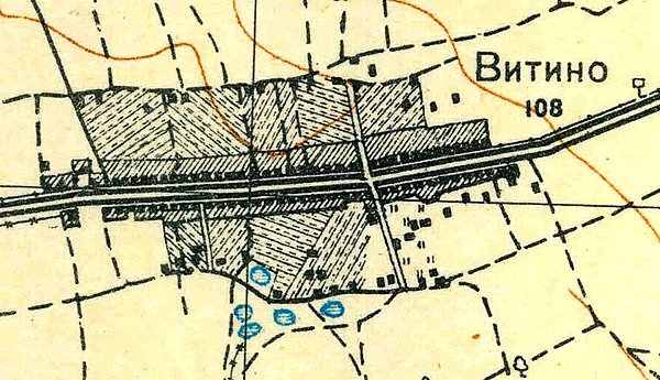 План деревни Витино. 1931 год