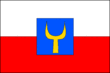 Vlag