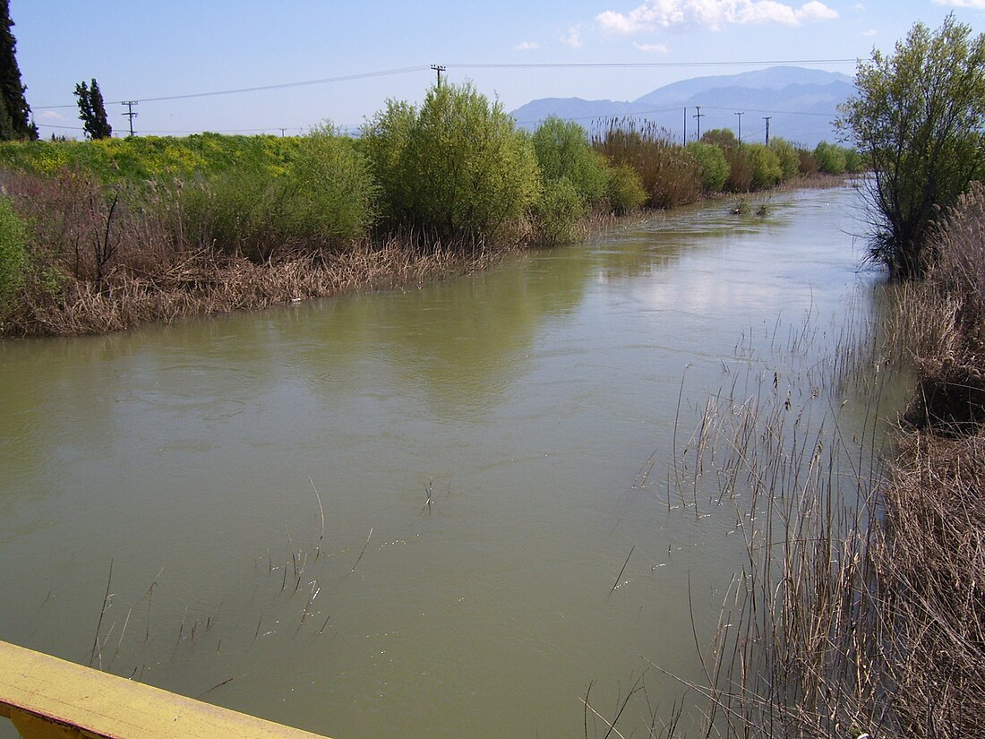 Κηφισός (Βοιωτικός)