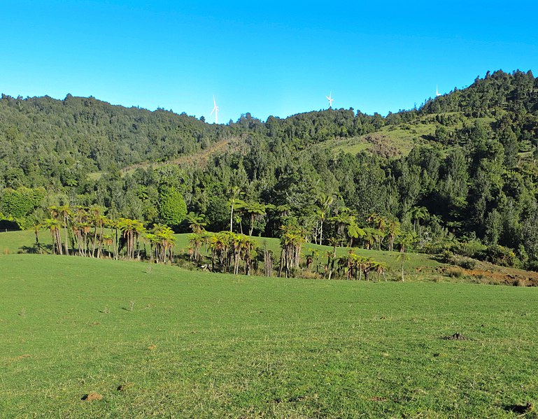 File:Waitetuna, New Zealand - panoramio.jpg