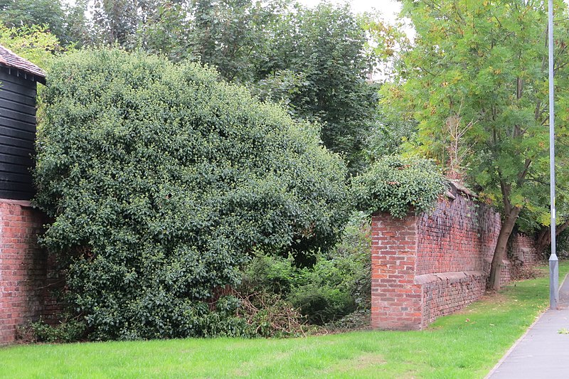 File:Walled Garden, off Welsh Row, Nantwich 4.jpg