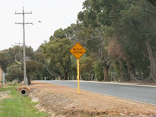 Wattle Grove, Western Australia Suburb of Perth, Western Australia