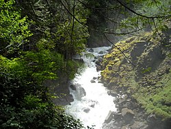 וולס קריק מ- Nooksack Falls.jpg