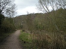 A footpath through some sparse woodland, with no remaining visible trace of industry