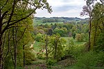 Thumbnail for Winkworth Arboretum