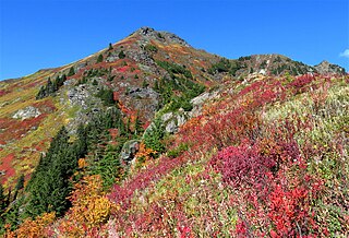 <span class="mw-page-title-main">Yellow Aster Butte</span> Mountain in Washington, United States of America