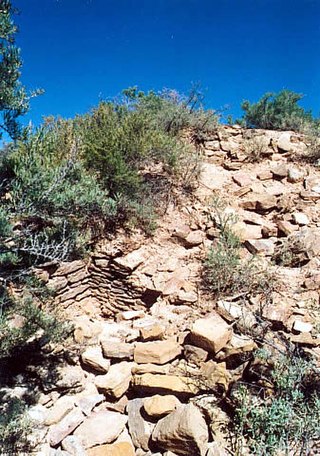 <span class="mw-page-title-main">Yucca House National Monument</span> Archaeological site in Colorado, United States