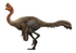 Zamyn Khond oviraptorid Restoration.png