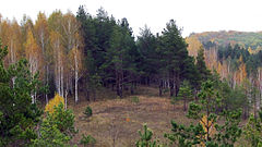 Фото лысые горы заповедник