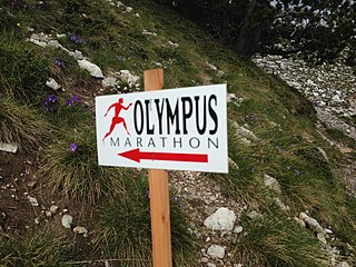 Fortune Salaire Mensuel de Olympus Marathon Combien gagne t il d argent ? 10 000,00 euros mensuels