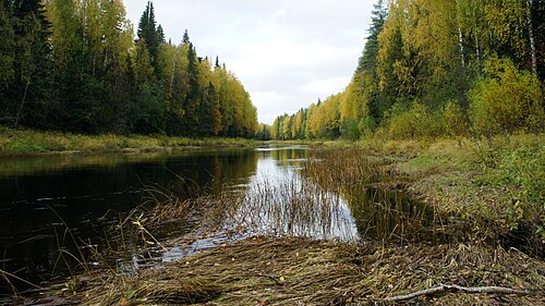 Led river