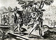 Theatrum Biblicum (1643), «Повернення із Ханаана», мідьорит