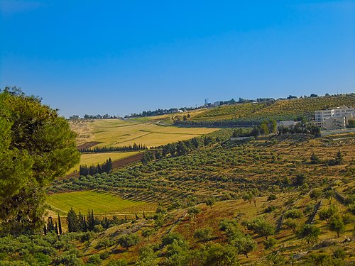 Viewing Area of Amman National Park. Photograph: Jeeda Ghazal