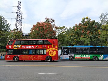 南京都市观光巴士