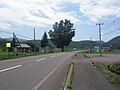 国道227号・佐市のケヤキ（2019年7月撮影）厚沢部町字鶉