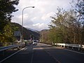 国道52号 大柳川橋 - panoramio.jpg